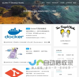 aLoNe IT Develop Studio - 我的成长经历